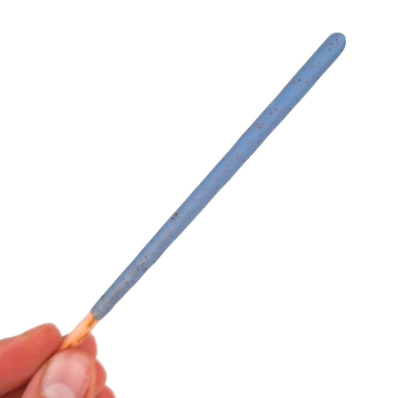 Blåbär Pocky Stick Hjärta