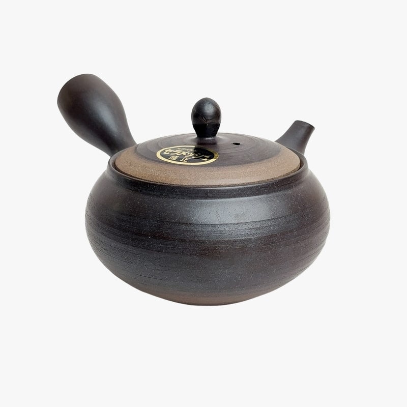 Japansk Kyusu Tokoname tekanna