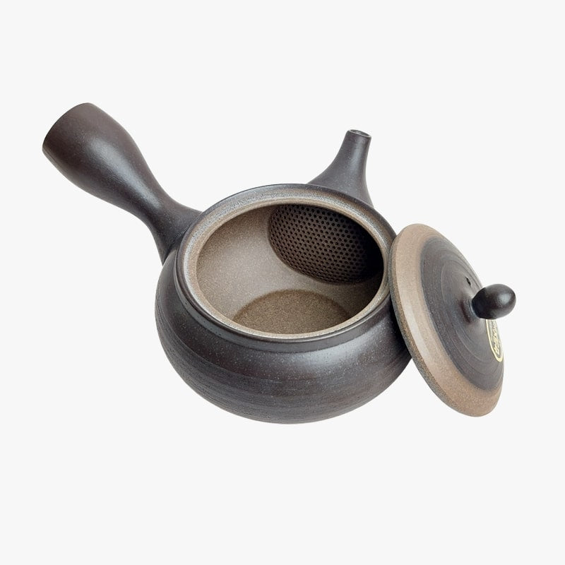 Japansk Kyusu Tokoname tekanna