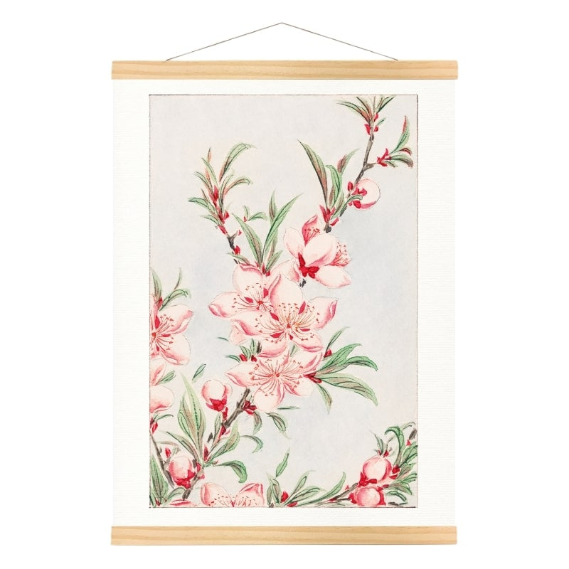 Japanska persikoblommor A3