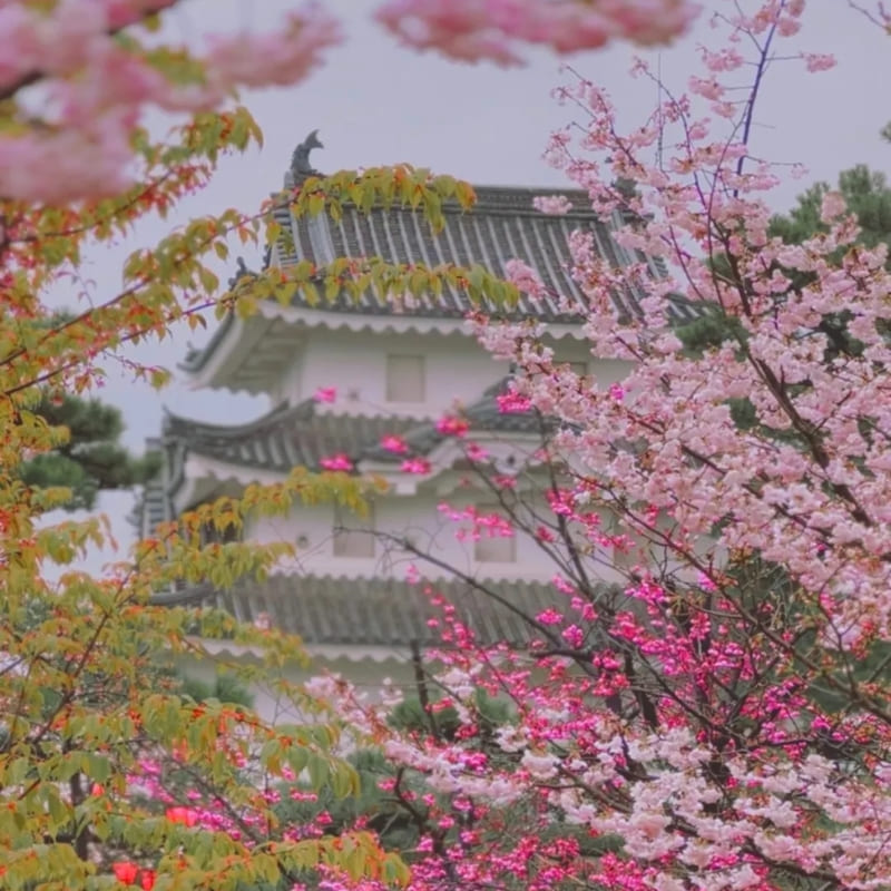 Japansk miniatyrmodell - Takamatsu Castle