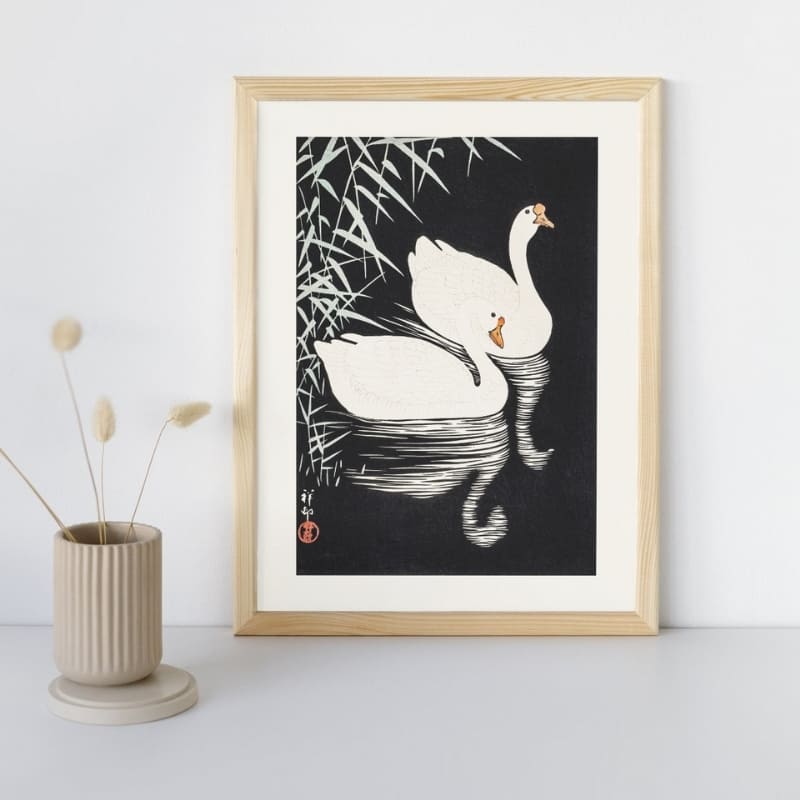 Poster med kinesiska vita gäss A3