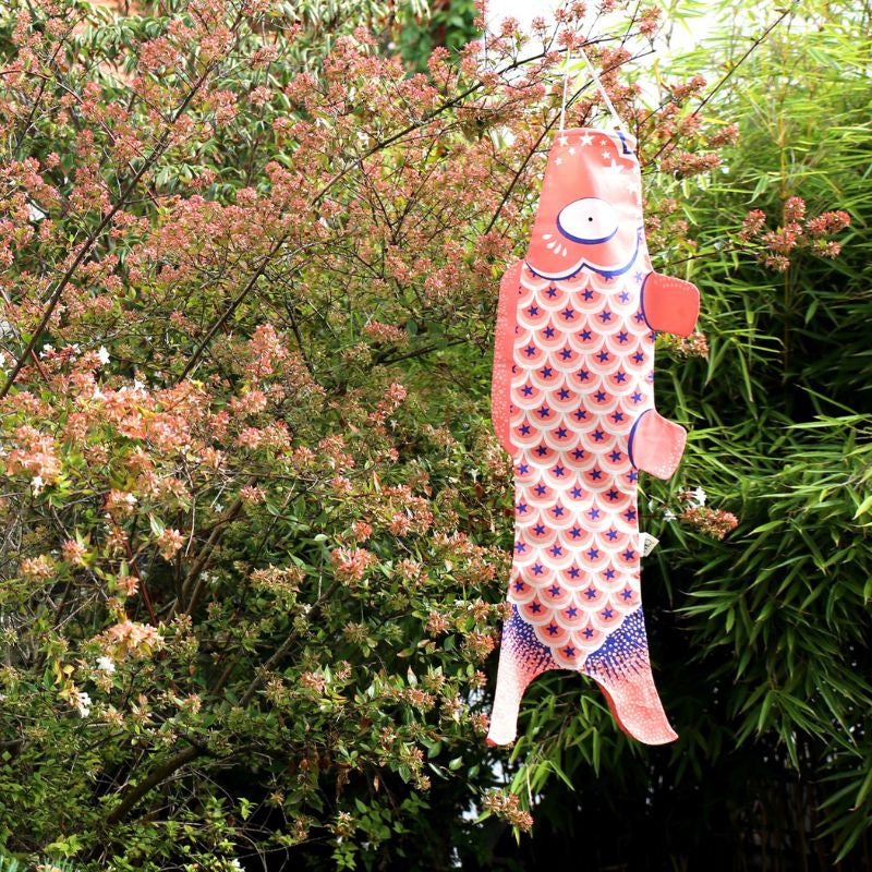 Traditionell rosa Koinobori 70 cm