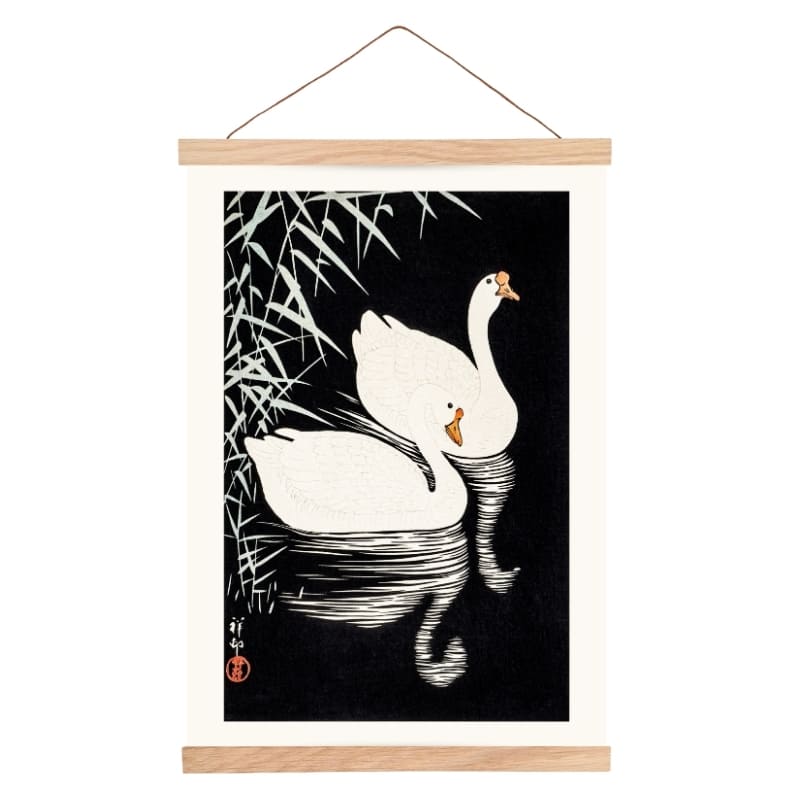 Japansk vit kinesisk gåsa Poster - A3