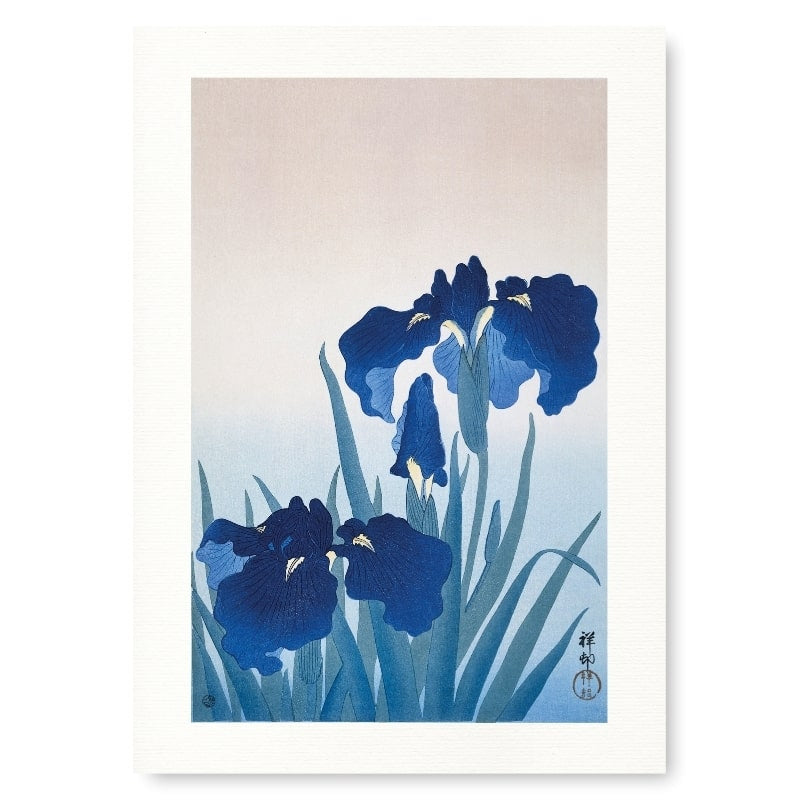 Blå Iris Japanskt tryck A3