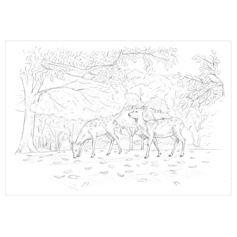 Färgläggning för vuxna: De fyra årstiderna i Nara