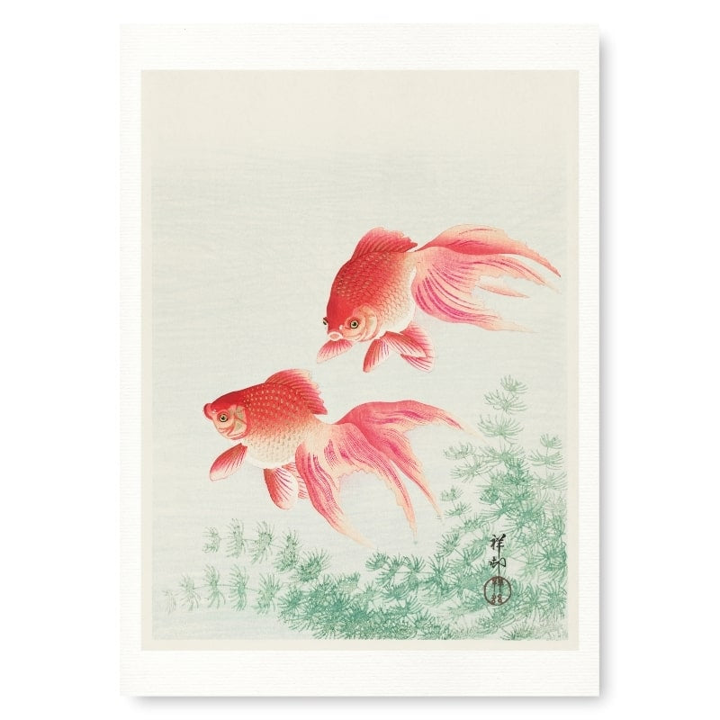 Guldfisk med japanskt tryck A3