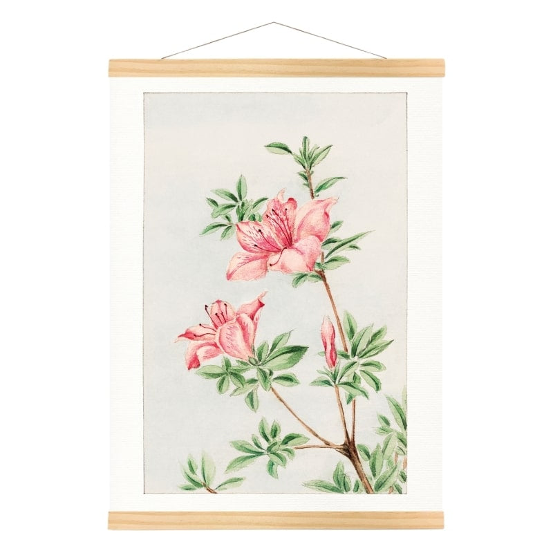 Japansk azalea tryck A3