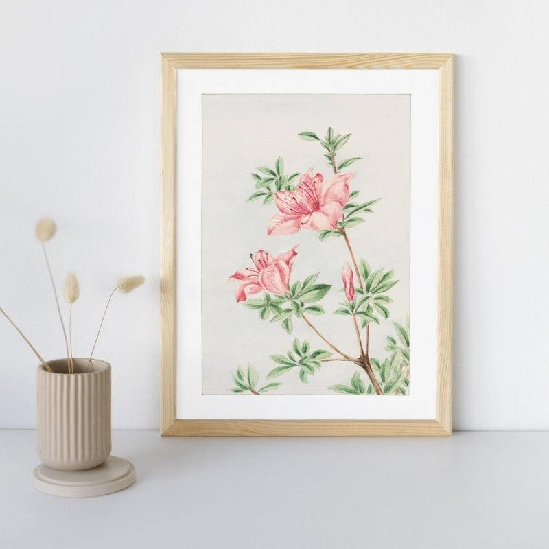Japansk azalea tryck A3