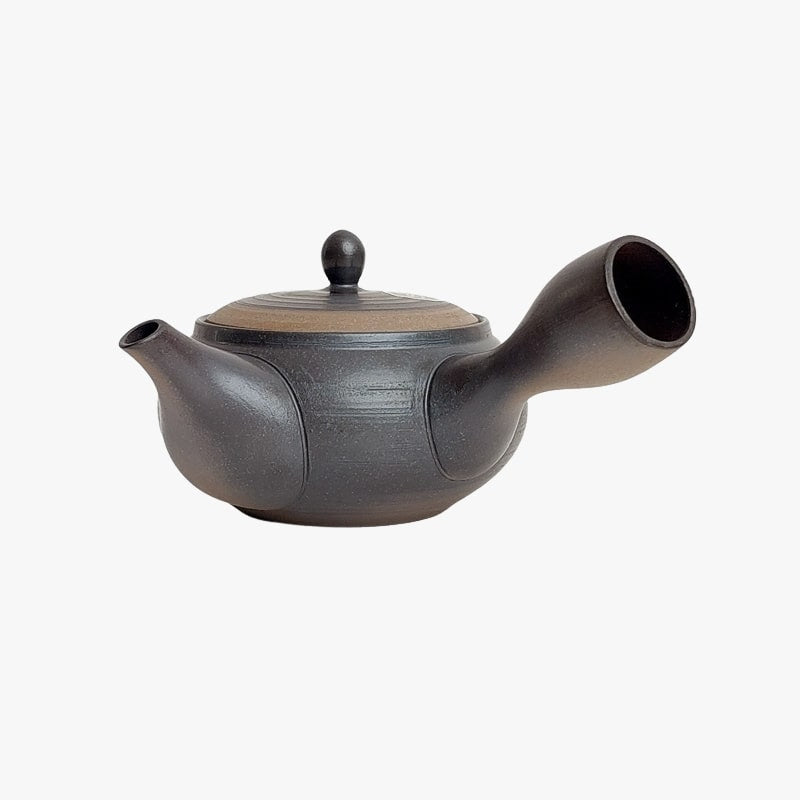 Japansk Kyusu Tokoname tekanna