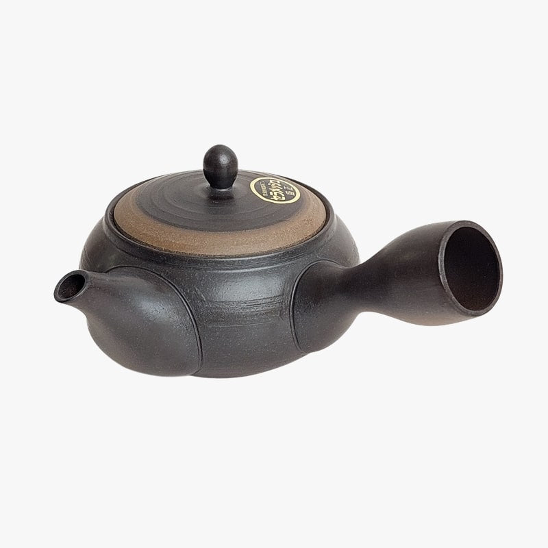 Japansk Kyusu Tokoname tekanna
