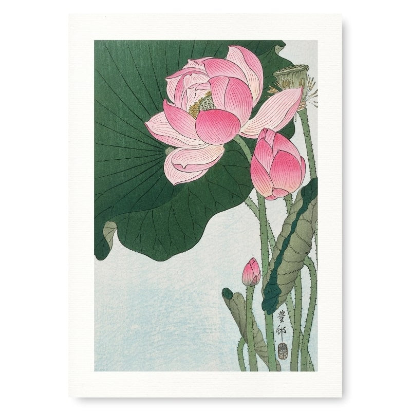 Japansk Lotusblomma Tryck A3