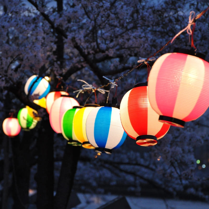 Japansk lykta - Blå Chochin