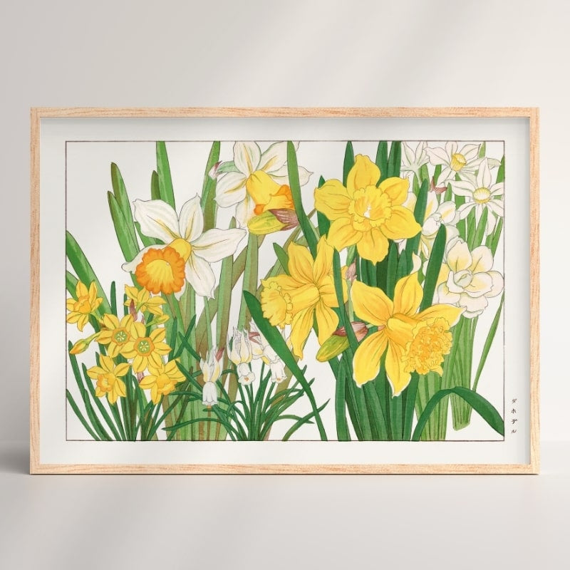 Japansk påsklilja blomma Tryck A3