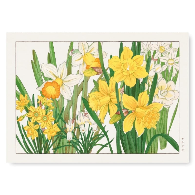 Japansk påsklilja blomma Tryck A3