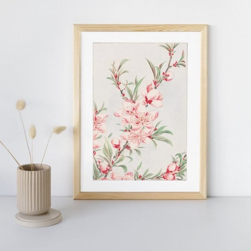 Japanska persikoblommor A3