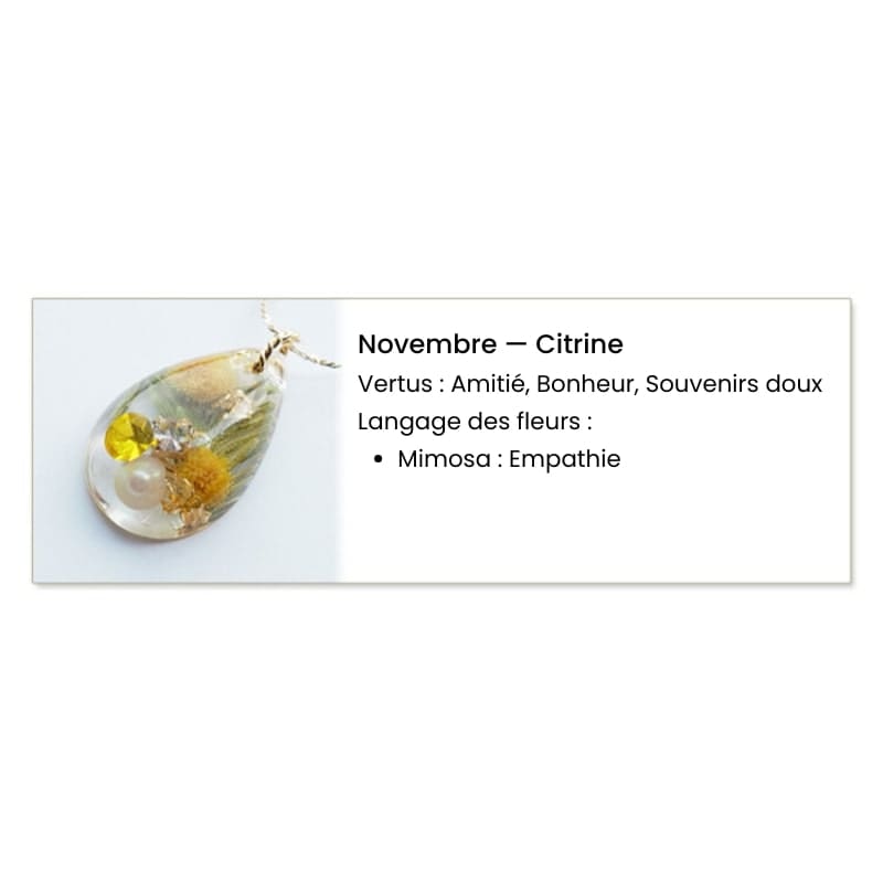 Japanskt lyckohalsband Novembre