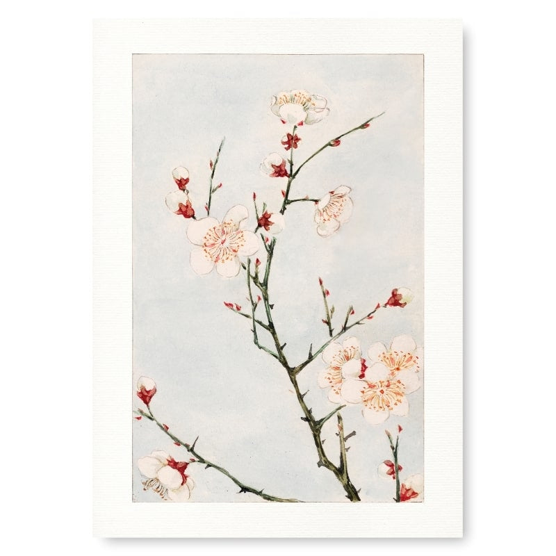 Japanskt plommonblomstertryck A3