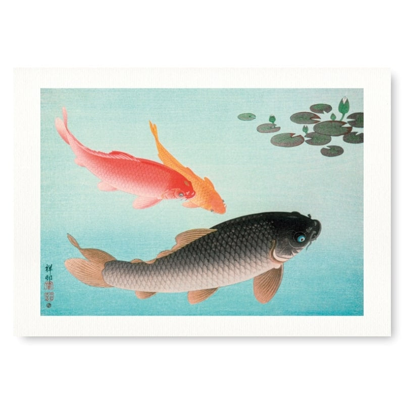 Japanskt tryck Karp A3