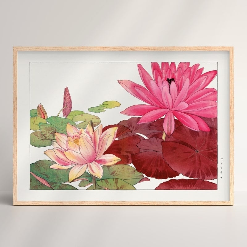 Japanskt tryck Nymphaea Lotus A3