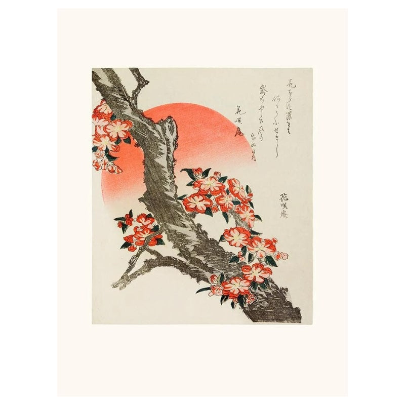 Poster med japanska körsbärsblommor A3