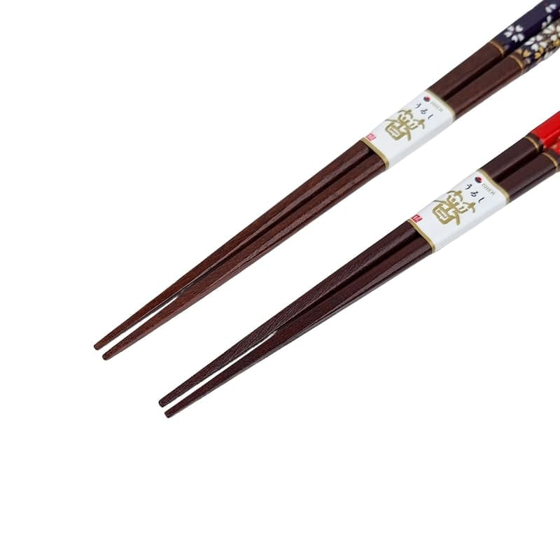 Röda & blå japanska ätpinnar set
